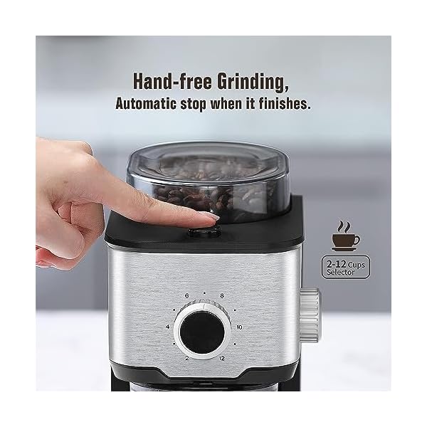 Ollygrin Flat Burr Coffee Grinder Electric, Coffee Bean Grinder Electric Espresso, Stainless