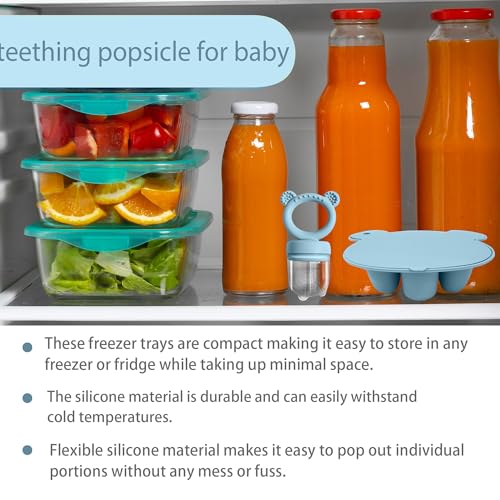 BIGSPINACH Baby Food Feeder Pacifier with Breast Milk Popsicle Teether-Silicone Forage Feeder for Babies-Breastmilk Storage Container and Freezer Tray-Teething Popsicle Molds for Soothing Relief