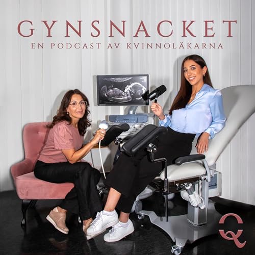 『Gynsnacket』のカバーアート