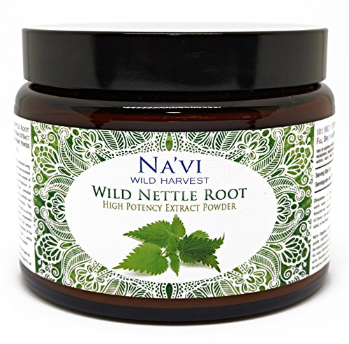 Full Spectrum Nettle Root Extract Powder - Wild Harvested (250g)