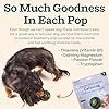 WOOF Pupsicle Refill Pops for Calming - Long-Lasting Refills for The Pupsicle Toy to Promote Calm - Calming Dog Treats - Magnesium for Dogs- Small Pops - 10 Count #3