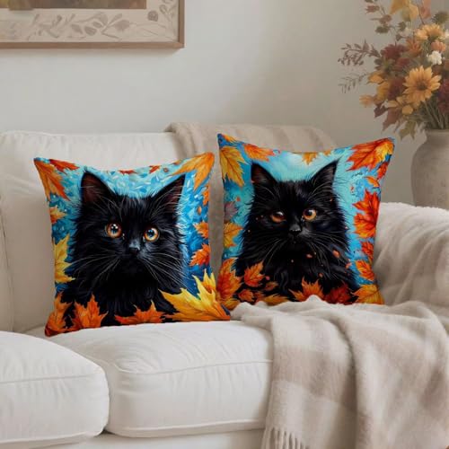 Housse coussin 80x80cm chat idéal pour décorer un canapé de salon ou balcon - 4