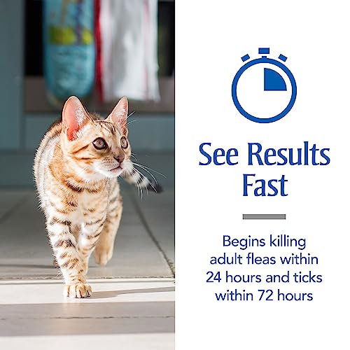 PetArmor Flea & Tick Topical Cats 1.5 lbs+, Fipronil, 6-Month | Ideal for Cats & Kittens 1.5 lbs+; Fast-Acting & Waterproof; no vet visit required; Vet-Quality, No Rx Needed - Image 5