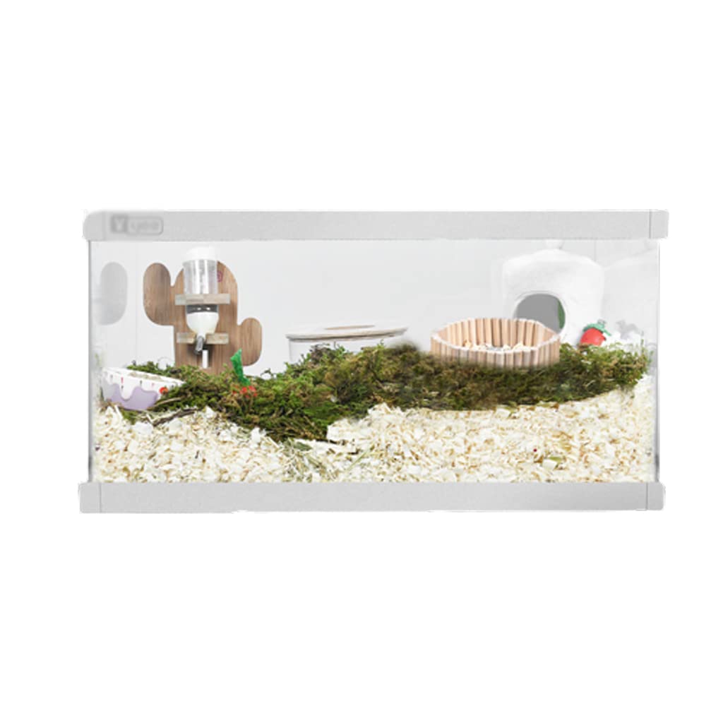 BAUBUY Jaula de hámster Transparente Panorama Anti-Salpicaduras voladoras Jaula de Animales pequeños Resistencia a morder Oso Dorado Rama Rata Villa Jaula para Hamster Sirio Ruso jerbo