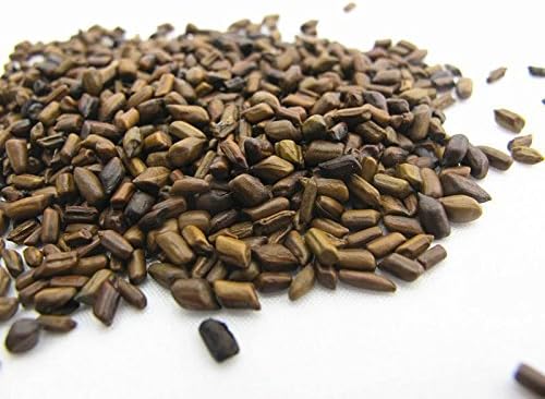NEERAJ - Puwar Seed |Cassia Tora | Ring Worm Plant| 400 Gm