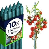 KADAX Supporti in Acciaio Plasticato – 10 x 120cmx16mm, Sostegni per Pomodori, Bastoncini di Supporto per Piante Rampicanti, Pali per Orto e Giardino