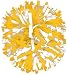 1 in-Stock 2-Color In-Stock Cheerleading Pom (Sold Individually)