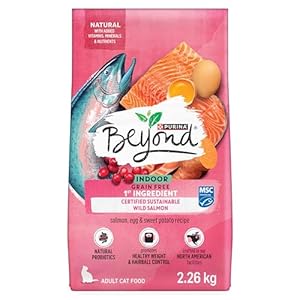 Beyond Grain Free Natural Dry Cat Food, Indoor Cat Wild-Caught Salmon & Egg – 2.26 kg Bag