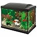 SF Goldfisch Start Set 20 schwarz inkl. LED Lampe, Innenfilter, Wasseraufbereiter, Futter, Thermometer und Kescher Baby,Schwarz günstig Kaufen-SF Goldfisch Start Set 20 schwarz inkl. LED Lampe, Innenfilter, Wasseraufbereiter, Futter, Thermometer und Kescher