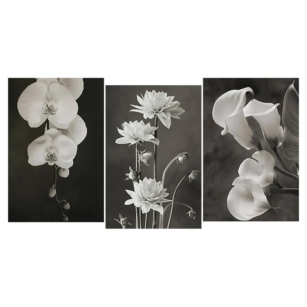 WUHBCZ Canvas Paints-Black and White Beautiful Flower Poster Abstract Print Nordic Canvas Painting Pictures for Living Kitchen Wall Art Pictures Home Decoration-60 * 80cm/3PCS (No Frame)