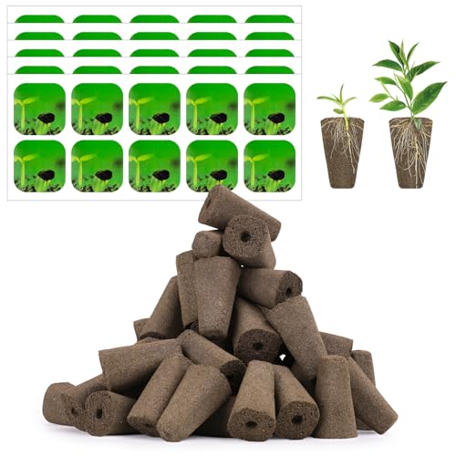GoorDik 100 Pack Seed Starter Pods for Indoor Hydroponics Growing System, Grow Anything Kit with 50 Grow Sponges, 50 Pods Labels, Hydroponics Supplies Compatible with IDOO, QYO, LYKO (Square)
