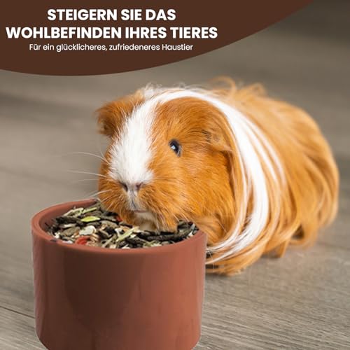Breker Beheizter Wassernapf & Futternapf für Kleintiere - 500 ml Fassungsvermögen- Ideal für Hasen, Hamster und Nager - Frostsicher - Schnelle Montage - Spülmaschinenfest - Napf - Trinknapf