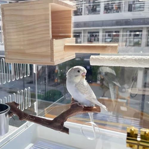 Image of Hamiledyi Bird Perch Natural Wooden Parrot Stand Branch Grapevine Wood Perch Bird Chewing Stick for Small Lovebirds Cockatiels Parakeets Finches(2 PCS)