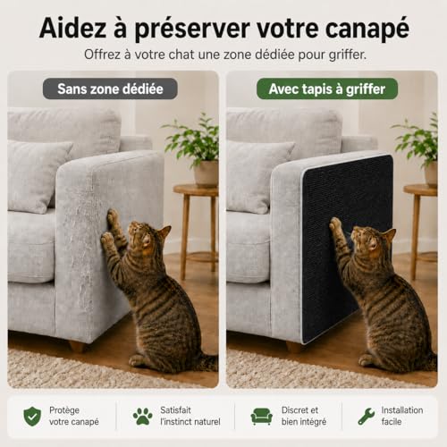 Griffoir chat canapé protection anti griffe sisal noir 200x40
