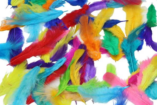 Natural Dyed Feather for Dream Catcher, mask Decor, Hanging Ornaments Decor, Small and Soft Quality for Crafts and Other Works 150 Pc's (Multi)