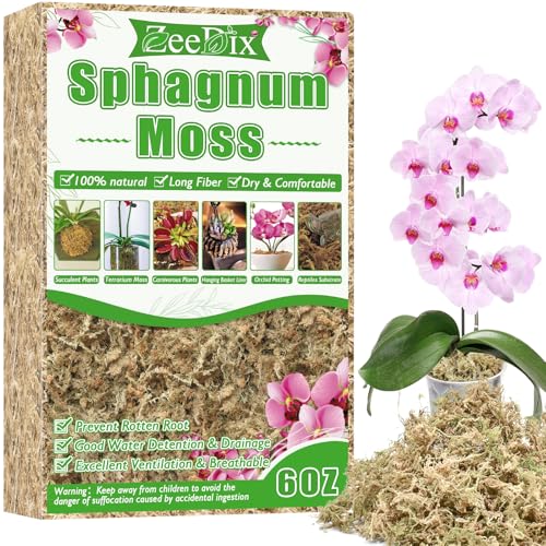 ZeeDix 6 oz Natural Sphagnum Moss for Indoor Plants, 8 qt Orchid Moss Mulch - Premium Potting Mix for Succulents, Carnivorous Plants (Sarracenia), Monstera, Gardening, Terrariums & Reptile Habitats