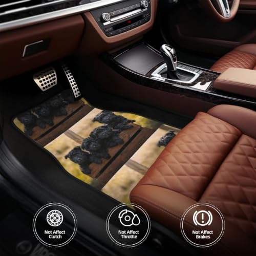 Alfombrillas para Coche de Affenpinscher Protectoras de Neopreno para Viajes 5