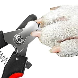 Dognailsclipperstrimmerwithsafetyguardtoavoidovercuttingrazorsharpbladeswithbonusdognailfilecatclawclipperswithsturdynonsliphandlesforpetsdogcatredblack  Cucciolini Doodles   cucciolini doodles