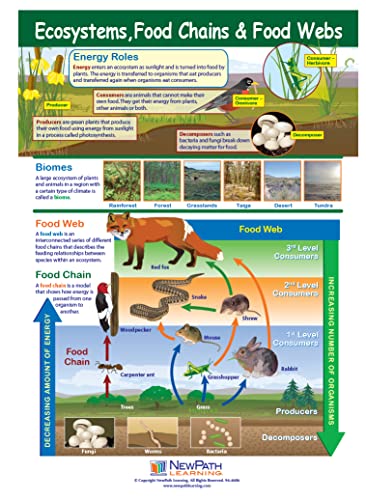 Newpath Learning Ecosystems, Food Chains & Food Learning Center Game - Grades 6-9 #TOP1