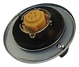 Crown Automotive Fuel Cap Air and Fuel Delivery