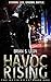 Havoc Rising (The Metis Files Book 1)