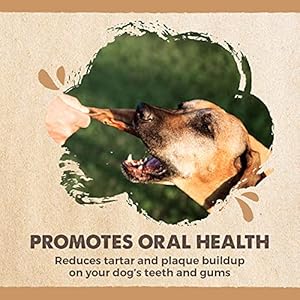 Mighty Paw Half Pig Ears for Dogs – All Natural Single Ingredient Pig Ear Treat – Better Than Rawhide Snacks for Puppies and Large Dogs – A Better Treat Dog Will Love – Dog Toys Compatible Chews