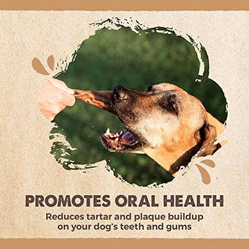 Mighty Paw Half Pig Ears for Dogs – All Natural Single Ingredient Pig Ear Treat – Better Than Rawhide Snacks for Puppies and Large Dogs – A Better Treat Dog Will Love – Dog Toys Compatible Chews Mighty Paw Half Pig Ears for Dogs – All Natural Single Ingredient Pig Ear Treat – Better Than Rawhide Snacks for Puppies and Large Dogs – A Better Treat Dog Will Love – Dog Toys Compatible Chews