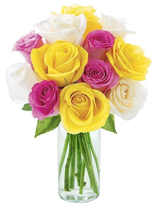 KaBloom Entrega Primera Noche ramo de pétalos de 4 rosas rosas, 4 rosas amarillas, 4 rosas blancas con jarrón. Regalo para cumpleaños, condolencias,