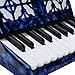 22 Key 8 Bass Accordion Exquisite Piano Accordion for Beginners Students Kids Stage Performance, Professional Educational Musical Instrument with Adjustable Straps and Storage Bag(Blue)