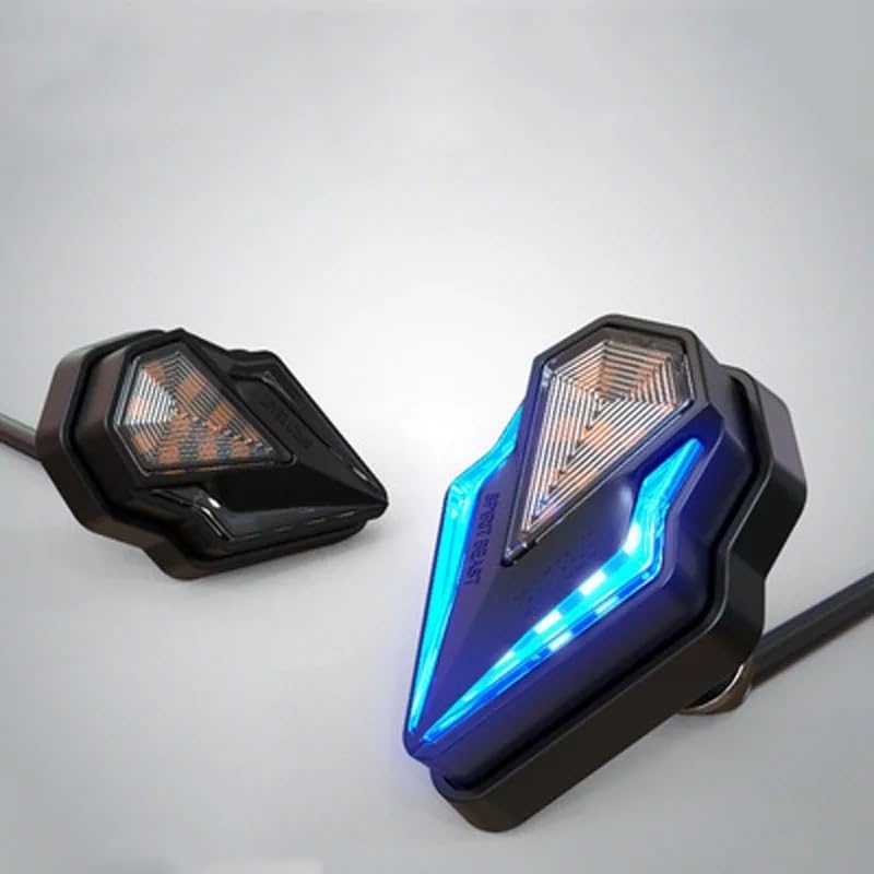Faro Posteriore Stop Running Accessori per motociclette per luci di carrozzeria per 250SR Luci ausiliarie per modificate 12V a LED