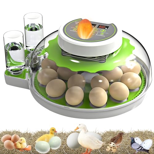 Incubadora de huevos de 18 huevos con giro automático de huevos, girador automático de huevos con control de temperatura y humedad, vista panorámica de 360°, incubadora de pollo para incubar pollo