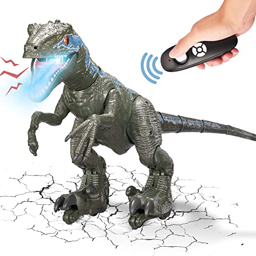 LTKFFFdp Remote Control Dinosaur Toys 26