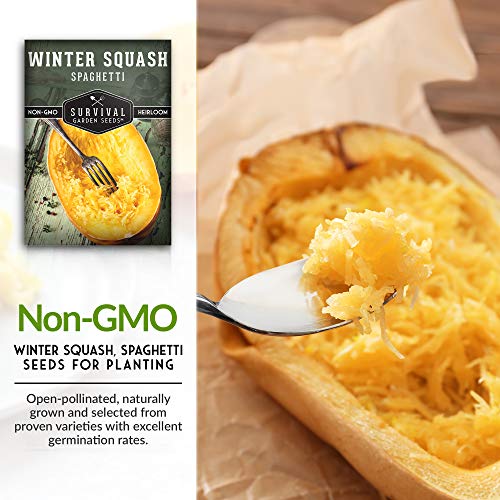 Survival Garden Seeds - Spaghetti Squash Seed For Planting - Packet With Instructions To Plant And Grow Low Carb Healthy Winter Squash In Your Home Vegetable Garden - Non-Gmo Heirloom Variety #TOP2