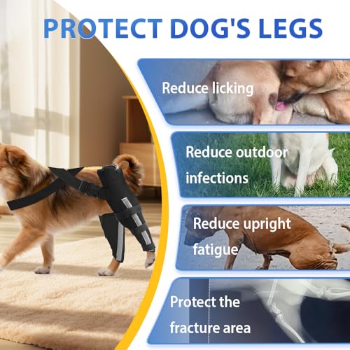Image of Double Dog Knee Brace for Torn Acl Hind Leg(Extra Small), Double Dog Leg Braces for Back Leg for Support, Acl Brace for Dogs, Built-In Hard Metal Spring Support,Adjustable Strap,Night Reflective Strip