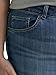Lee Women's Plus Size Legendary Mid Rise Straight Leg Jean Seattle 18 Plus Petite