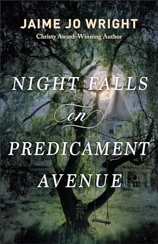 Night Falls on Predicament Avenue