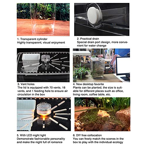 CXJC Reptielenkooi Insectenvoerdoos Acryl Transparant Plastic Desktop Reptielendoos met meerdere ventilatieopeningen en… - Afbeelding 7