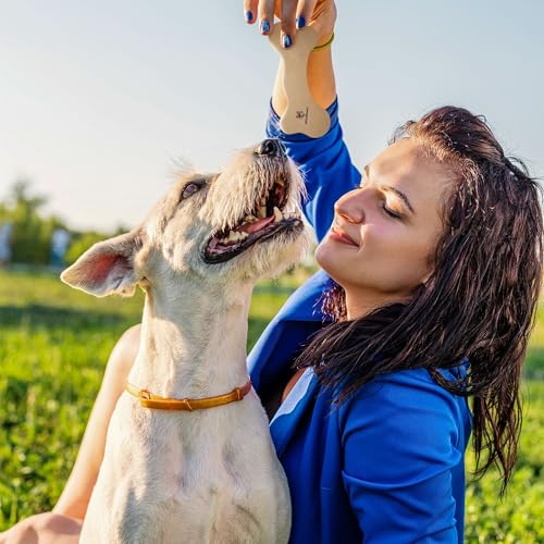 Wildfang® Leder Kauknochen Hund, Größe M – zahnpflege Hund, Hundespielzeug, kauspielzeug & kauknochen Welpen – für mittlere Hunde (10–15 kg), 1 Stück