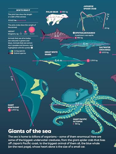 Image of Britannica's Encyclopedia Infographica