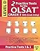 2 Practice Tests for the OLSAT Grade 3 (4th Grade Entry) Level D: Gifted and Talented Test Prep for Grade 3 Otis Lennon School Ability Test