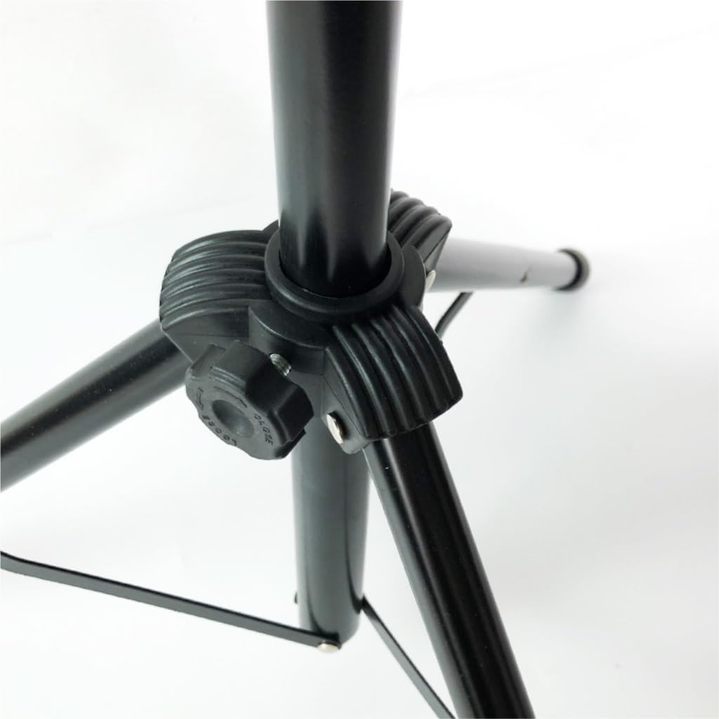 本物・美品】天保一分銀 定常銀是也 江戸時代 桜花文様8.84g 比重10.3