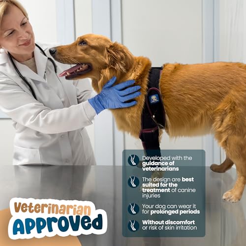Image of Dog Knee Brace Adjustable Front Hind Leg Brace for Cruciate Ligament Injury, Luxating Patella, Torn ACL