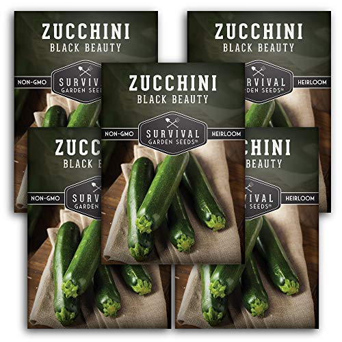 Black Beauty Zucchini Seeds for Planting - Heirloom Summer Squash