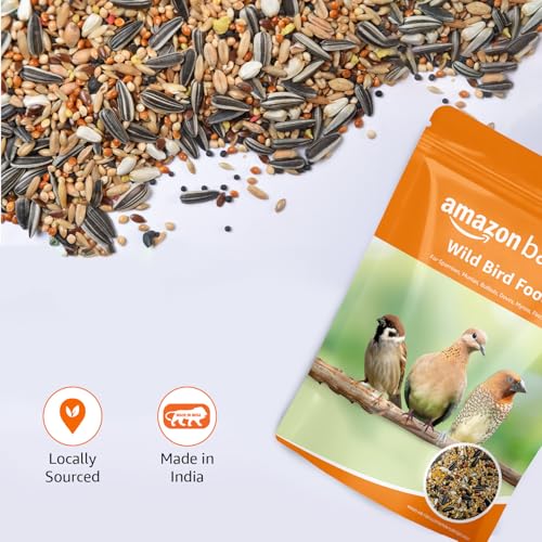 Image of Amazon Basics Mix Seed Bird Food for Wild Birds | 1 Kg | 100% Natural | Energy-Rich & Easily Digestible | Suitable for All Life Stages | Made in India