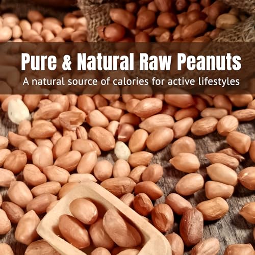 Image of DE SWATI MART Mungfali Dana 250g | Raw Peanuts for Cooking & Snacking | Protein Rich Fresh Groundnuts | Natural Quality Peanuts for Daily Use