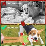 LECHONG 3-Pack Weihnachten Hundespielzeug, Hund Quietsche Spielzeug Plüsch Hund Kauspielzeug Bundle, interaktive Weihnachten Hundespielzeug für Welpen kleine mittlere große Hunde