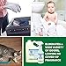 X-O Odor – Commercial Strength Ready-to-Use Odor Eliminator, Neutralizer, Deodorizer – Plant-Based Multi-Purpose Odor Eliminator – Safe for Pets & Children – Scent & Fragrance Free - 1 Gallon, 1 Pack
