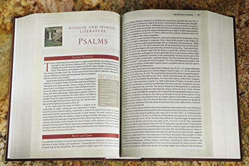 Nrsv, Cultural Backgrounds Study Bible, Hardcover, Comfort Print: Bringing to Life the Ancient World