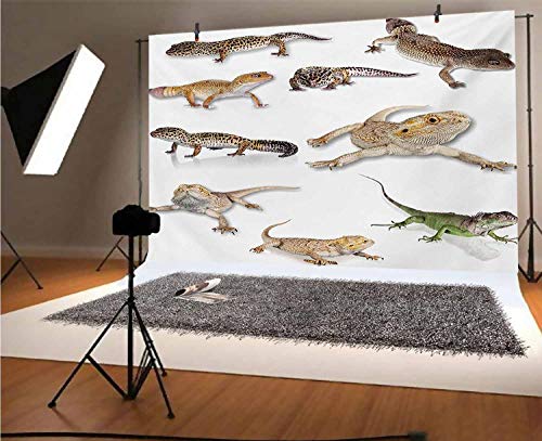 Reptile 10x6.5 FT Vinyl Backdrop PhotographersColorful Staring Leopard Gecko Family Image Primitive Reptiles
