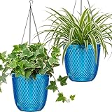 QCQHDU Self Watering Hanging Pots, 2-Pack 7.2 Inch Hanging Planters for Indoor Plants, Plastic Plant Hanger with Drainage Holes and 3 Hooks Chains for Garden Home (Klein Blue)